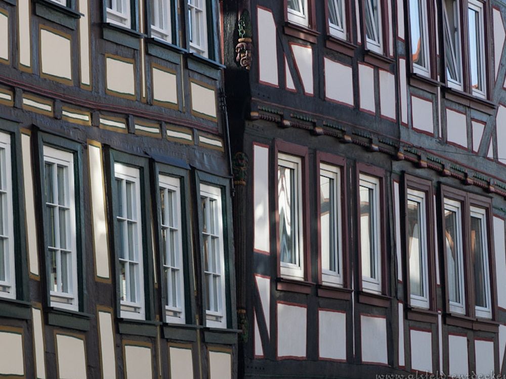 Biologische Beratung - Schädlingsbekämpfung im Fachwerk