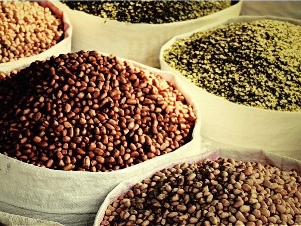 Biologische Beratung - Schädlingsbekämpfung im Getreide 1