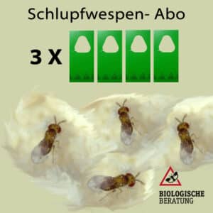 Schlupfwespen kaufen im günstigen 9 Wochen Abo mit Lieferung von 3 mal 4 Karten