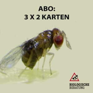 Apfelwickler Schlupfwespen Abo der Biologischen Beratung um Apfelwickler bekämpfen zu können