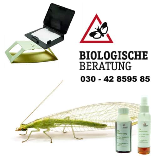 Produkte für die biologische Schädlingsbekämpfung im Onlineshop der Biologische Beratung GmbH