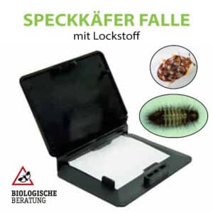 Speckkäfer Falle mit Lockstoff als Köder und Klebeboden