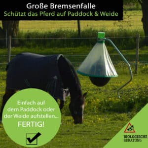 Große Bremsenfalle für Weide und Paddock zum Schutz von Pferden vor Bremsen