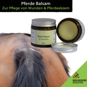 Natürliches Pferde Balsam mit Neemöl zur Pflege von Wunden und Pferdeekzem