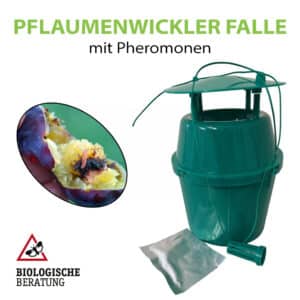 Pflaumenwickler Falle mit Pheromonen als Lockstoff
