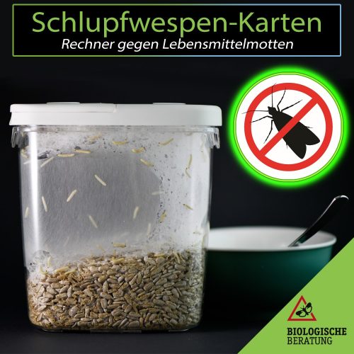 Schlupfwespen-Karten Rechner der Biologischen Beratung zur Berechnung der benötigten Schlupfwespen gegen Lebensmittelmotten