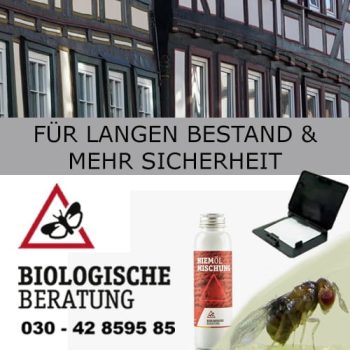 schaedlingsbekaempfung-historische-gebaeude-fachwerkhaus-denkmalgeschuetzte-haeuser-ohne-chemie-Biologische-Beratung Schädlingsbekämpfung für historische und denkmalgeschützte Gebäude und Häuser mit der Biologischen Beratung